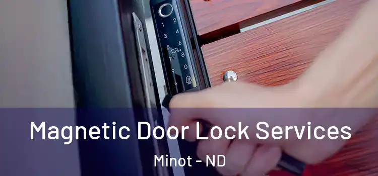 Magnetic Door Lock Services Minot - ND